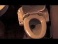 Automatic Douching Toilet Automatic Douching Toilet