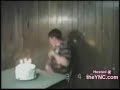 Funny videos vol.2 (explosions) Funny videos vol.2 (explosions)