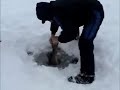 slow motion Pike through the ice