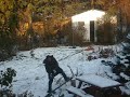 Fooling Around in The Snow Time Lapse