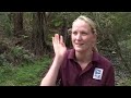 Healesville Animal Sanctuary - A Home for Fantastic Native A Healesville Animal Sanctuary - A Home for Fantastic Native A