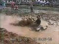 Mud Mania II