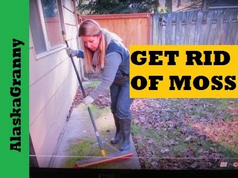 how to get rid of oil leak on driveway