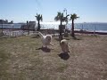 2009 1103岐阜＆愛知遠征0500
