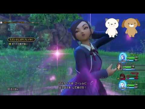 動画