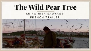 Le poirier sauvage de Nuri Bilge Ceylan 