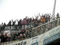 videos de Brigadas Blancas elche 2008/2009