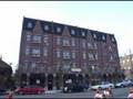 Grandwalking in River West and West Town