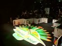 Yasmin Gontijo - Pantanal