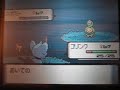 Pok�mon Diamond & Pearl - VS subomi