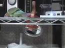 Lovebird?OPi ? 2003?4?25?Long????????????????? Lovebird?OPi ? 2003?4?25?Long?????????????????