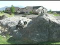 Losi Mini Rock Crawler Losi Mini Rock Crawler