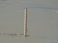 inundatii siret dig lunca pascani, 27 iulie 2008