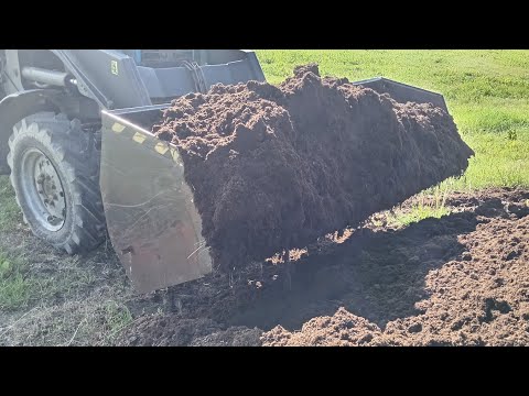 YouTube video preview