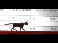 videos de Thief 3 Level Editing Part 02 
