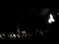 hernan cattaneo creamfields 2006 buenos aires