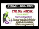 danny tenaglia ft celeda - music is the answer (victor magan