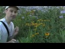 Prairie Vlog Prairie Vlog