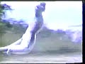 ak-bi-ivotinje-govorile.html