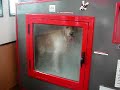 Automatic Pet Laundry?