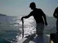 Wakeskate