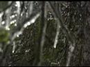 oklahoma-ice-storm-update-300-am-december-10-2007.html
