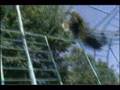 Oleg Vorslav (Project of summer 2006) parte 2 de 2