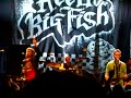 Reel Big Fish - Trendy and I Want Your Girlfriend at Astoria
