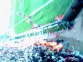 HIF-mff