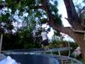 crazy flip!!!