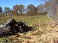 Checking the zero of a Winchester model 70