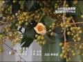 KB09 いけばな未来展　第2期
