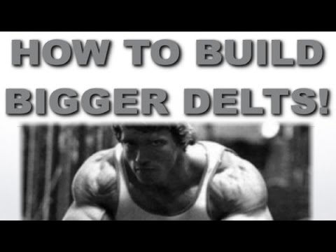 how to build deltoids