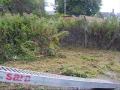 Grass cutting - Dunk style