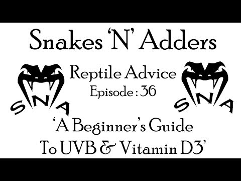 YouTube reptile video