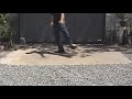como bailar pokemon 5