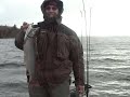 Coaster Brook Trout - Huron Bay Michigan