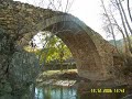 mustafa d�zenli