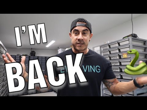 YouTube reptile video