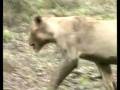 videos de nkhumas111908.wmv