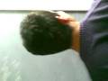 videos de le cazzate