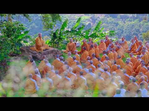 NIKAYA Giảng Giải - Dựng Tăng Thánh Điển 9 - Tầm Quan Trọng Của Hoà Kính Trong Đời Sống Tăng Đoàn