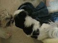 ella and logan playing
