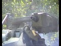 It is 'Muromteplovoz' corp. modernisations for old good soviet light armored vehicles, it includes the new turrets installation, new economicaly engine and armor upgrade. The new weapon kit includes high ballistic 30 mm GSh-30 autocannon with deadly armor-piercing APFSDS munition, or low recoil 23 mm autocannon. For indirrect fire the 30 mm automatic grenade launcher is still an unbeatable choice. Of course, the supplemented 7.62 mm PKT machinegun augments the picture.