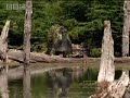 Walkiing With Dinosaurs: The Stench of Death
