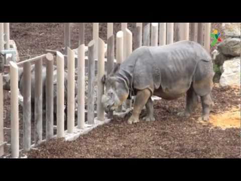 ZOO Plzeň - za exotikou do ZOO