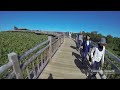 知床