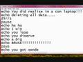 Basic cmd Delete all data prank version 2.