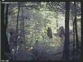 Plainfield NH: New Fed video of aborted Brown raid