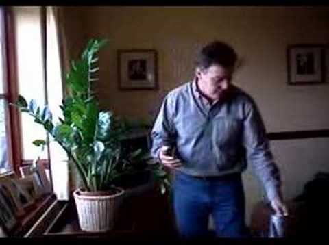 Winter House Plant Care